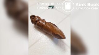 A peaceful poop on the bathroom floor