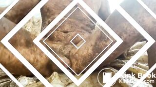 Filth Pigs in Shit 4