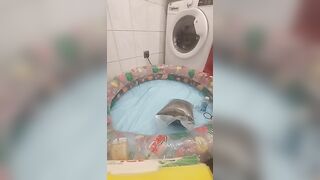 Cowdung Party