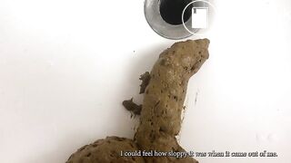Huge Sloppy Shit Pile in the Sink
