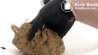 Huge Sloppy Shit Pile in the Sink