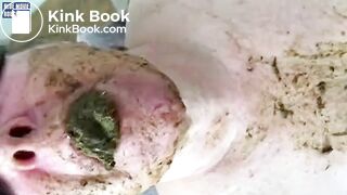 Pig Chewing Shit