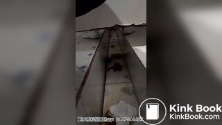 CUTE CHINESE GIRL POOPPIN WITH SMELLY FART