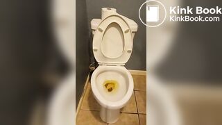 Me Shitting While Standing Over A Toilet