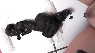 Shitting