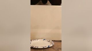 After work poop - Shemale Scat