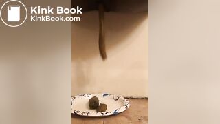 After work poop - Shemale Scat