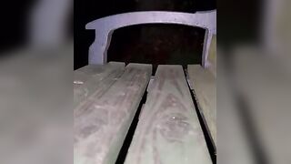 Shitting on a Public Bench