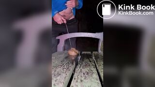 Shitting on a Public Bench
