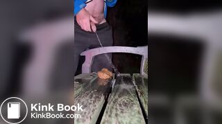 Shitting on a Public Bench
