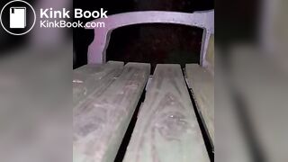 Shitting on a Public Bench