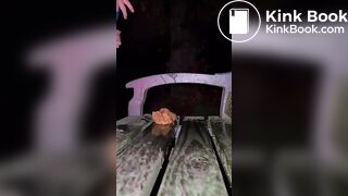 Shitting on a Public Bench