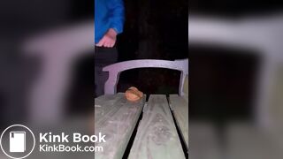 Shitting on a Public Bench