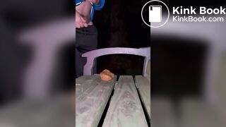 Shitting on a Public Bench