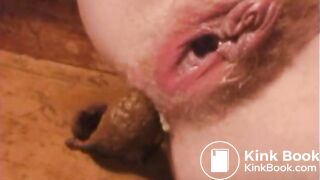 Swallow my Lucy scat pig