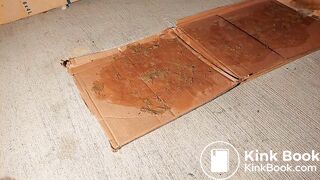 Milf walk on dog shit and wash the floor