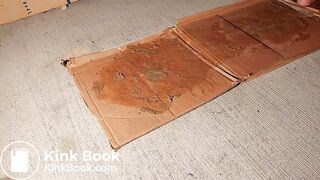 Milf walk on dog shit and wash the floor