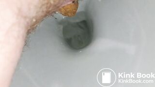 Feeding my toilet