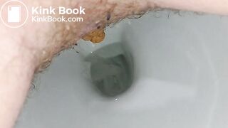 Feeding my toilet