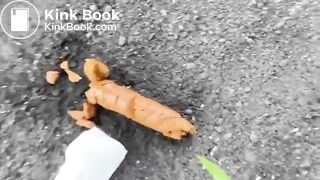 V3g4n L1nd4 shitting on the road