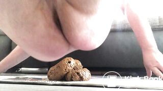 Shitting