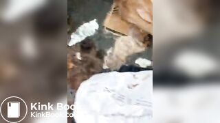 Nasty portapotty floor for worthless human toilet