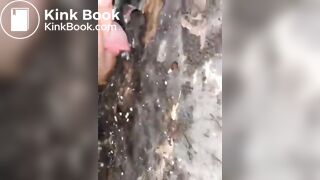 Nasty portapotty floor for worthless human toilet