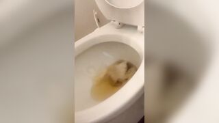 online poet blackmailed to do disgusting things