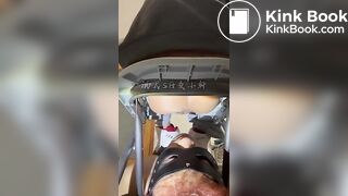 Pig Gets Fed