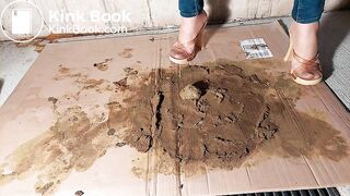 Very Nasty Asian Brown Dog