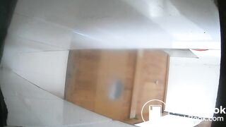 Sexy women defecate in toilets
