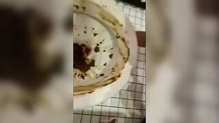 Alpha Makes Fag Lick Shitty Toilet