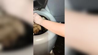 Syringe covered in shit for worthless human toilet