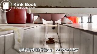 The girl excreted a lot in the toilet 003
