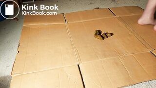 Milf clean the dog gifts