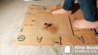 Dog Shit Under My Pantyhose