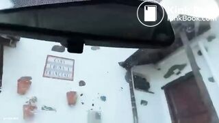 V3g4N L1nd4 Shitting on a Windshield