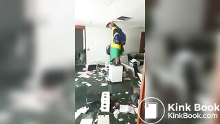 Cara Solta Lula na Mesa do Ministro Alexandre