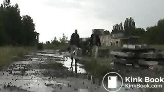 Two pigs take a break at work