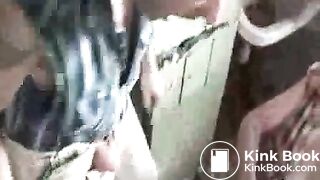 Two pigs take a break at work