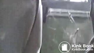 Two pigs take a break at work