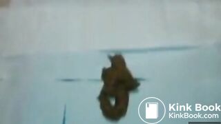 NIGGER LOVE TO SHIT FOR RICH WHITE MASTERS