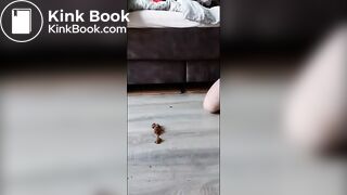 Shiteater 2023 fully outet