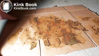 Asian want her feets more Brown