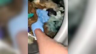 Slimy portapotty shit for worthless human toilet s