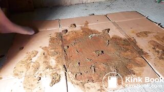 Grey Nylons Socks Vs Brown Dog