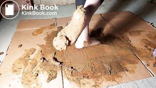 Grey Nylons Socks Vs Brown Dog