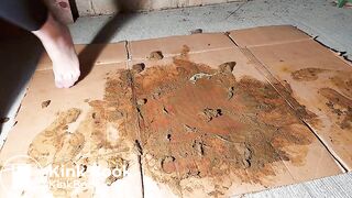 Grey Nylons Socks Vs Brown Dog