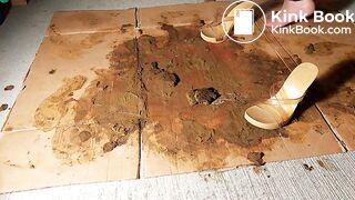 Very mad at the dog in pantyhose