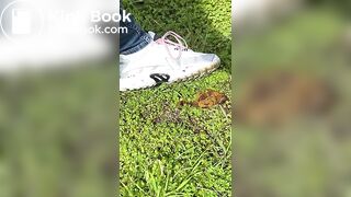 Crappy walk in Women’s Sneakers